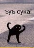 Приколы-для-даунов-разное-3481294.jpeg